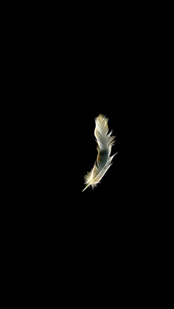 Feather silhouette, Dark background, Abstract , Huawei Nova 4e HD phone wallpaper