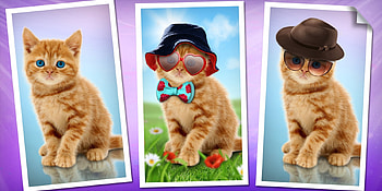 Kittens, pisica, animal, kitten, fantasy, sunglasses, cat, luminos, hat HD wallpaper