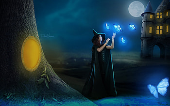 Witch, moon, cg, fantasy HD wallpaper