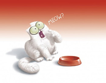 FEED ME PLEASE, FOOD, WHITE, FEED, CARTOON, FUNNY, CAT HD wallpaper