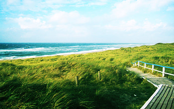 The Green Way, way HD wallpaper