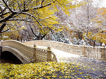 Nature, Autumn, Leaves, Snow, Park, Bridge HD wallpaper