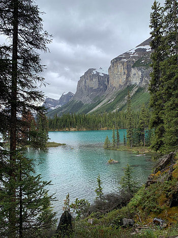 Nature, Trees, Sky, Rocks, Lake HD phone wallpaper