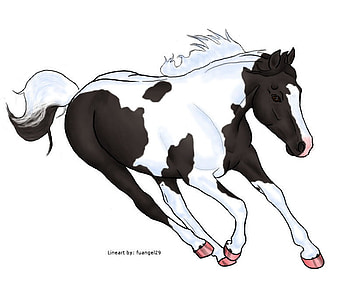paint pony, hyper chrush, like a g6, cataeracs, love HD wallpaper