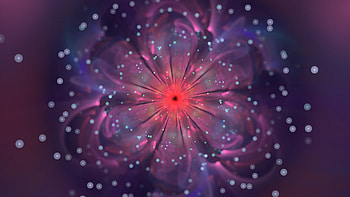Abstract, flower, glow, bokeh, close up HD wallpaper