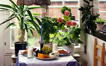 Conforting my BFF, milk, sweet, table, grapes, dessert, cheese, interior, food, pink, breakfast, roll, flower, green, fruit HD wallpaper