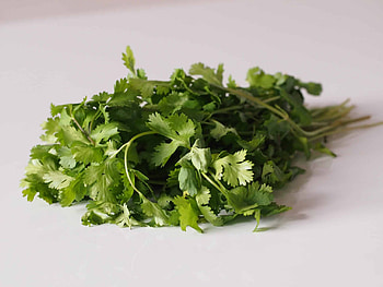 Cilantro for babies, Baby's first foods, Solid starts, Dietary option HD wallpaper