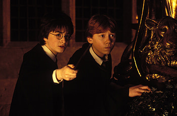 Chamber of Secrets, Harry Potter, Intriguing HD wallpaper