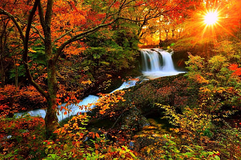 fall season forest waterfall, season, fall, waterfalls, nature, forest HD wallpaper