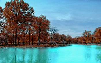 Landscape, Nature, Trees, Lakes HD wallpaper
