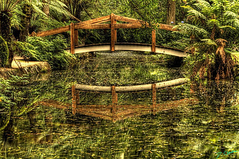 A Day In The Park, river, beautiful, tree, park, day, paceful, green, bridge, trees, water HD wallpaper