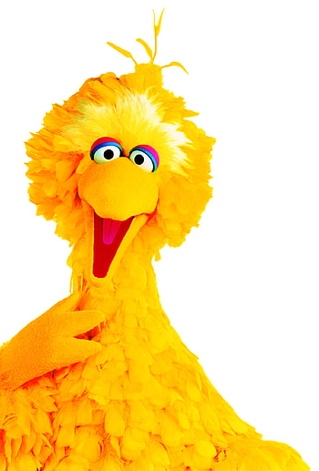 Sesame Street Animation, Big Bird character, Custom puppets, Iconic Sesame Street presence HD phone wallpaper