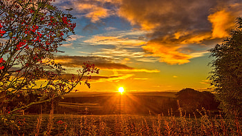 Rowan Field, Scotland, landscape, trees, autumn, clouds, colors, sky, sun, sunset HD wallpaper