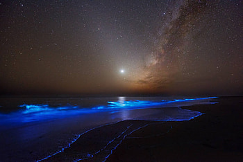 Night Glows, fun, moon, cool, nature, stars, ocean, beach HD wallpaper