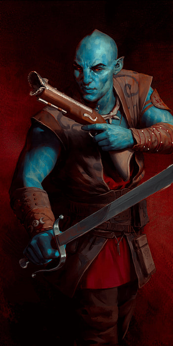 video game, Avowed HD phone wallpaper