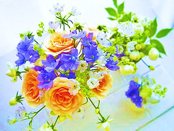 There is beauty in every day, blue, golden, iris, bouquet, leaves, roses, spring HD wallpaper