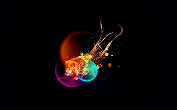 Abstract, Shining, Shine, Light, Beams, Rays, Multicolored, Motley, Lion HD wallpaper