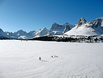 Eremite Valley Peaks, sky, snow, tree, mountain HD wallpaper