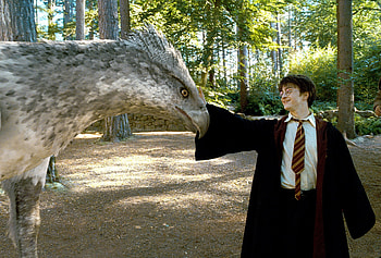 Buckbeak, Monster Legacy HD wallpaper