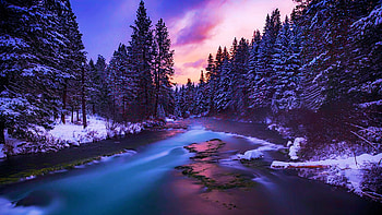 A cold, snowy sunset along the Metolius River, Camp Sherman, winter, snow, clouds, trees, sky, forest, Oregon, usa, sunset HD wallpaper