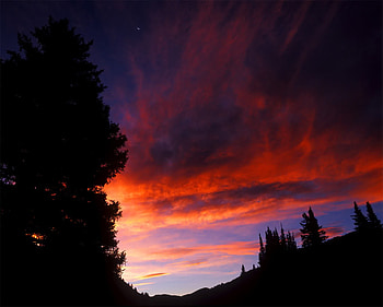 Colors of sky, trees, sky, nature, color HD wallpaper