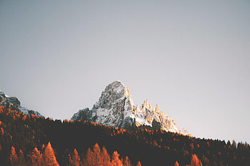 Nature, Trees, Snow, Rock, Vertex, Top, Forest HD wallpaper