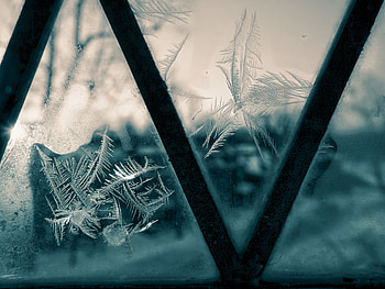 Winter, Miscellanea, Miscellaneous, Pattern, Glass, Window, Frost HD wallpaper