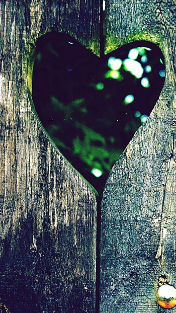 Whatsapp, Green, Love HD phone wallpaper