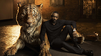 Idris Elba, Movies, Tiger HD wallpaper