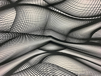 Abstract, Lines, Form, Wavy, Monochrome, Plexus, Forms HD wallpaper