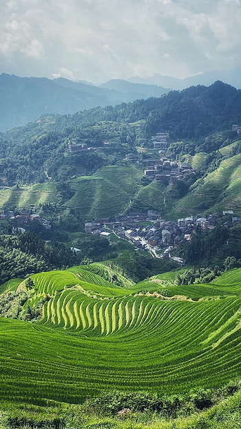 Longji terraces, Must-visit attractions, Jinkeng rice terraces, Stunning recommendation HD phone wallpaper