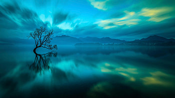 Beautiful Nature graphy, nature, graphy, trees, sky HD wallpaper