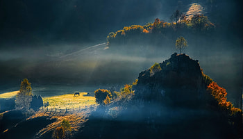 Sunrise field, Romania, Nature trees, Hill landscape HD wallpaper