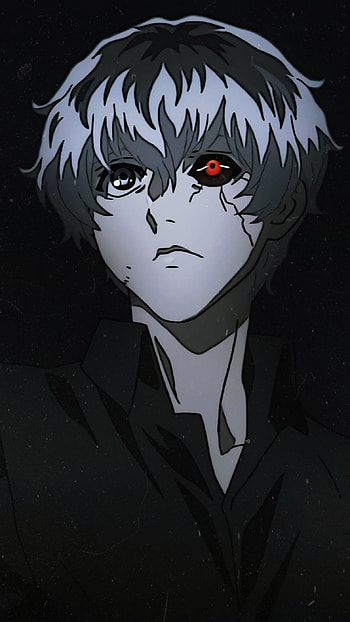Kaneki, tokyo, gull HD phone wallpaper