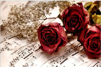 love , , music, book, love HD wallpaper