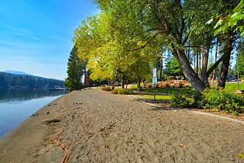 Riverside Beach, Trees, Rivers, Nature, Spring, Beaches HD wallpaper