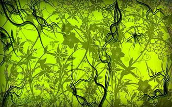Abstract, Flowers, Patterns, Lines, Shadow HD wallpaper