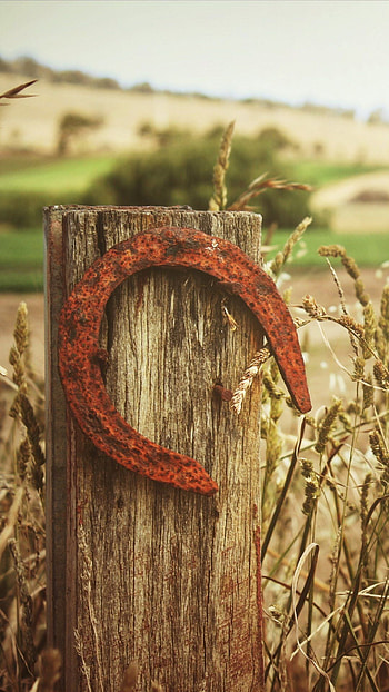 Luck symbol, Fortune charm, , Lucky horseshoe HD phone wallpaper