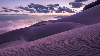 Beach Dunes , beach, dunes, nature HD wallpaper
