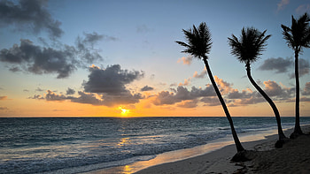 Palm Trees On Beach Sand Ocean Waves Under Clouds Blue Sky During Sunset Nature HD wallpaper