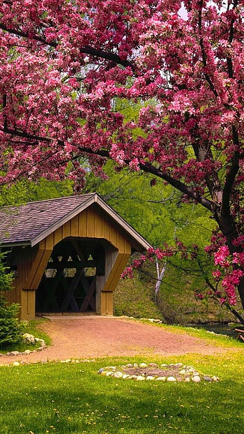 May, House, Nature Background HD phone wallpaper