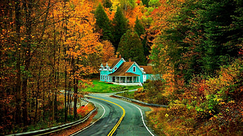 house in the woods, autumn, road, forest, house HD wallpaper