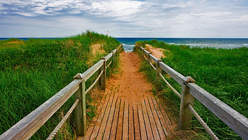 PEI Beach Boardwalk, island, nicolas, beach, scenery, boardwalk, scenic, pei, canada, ocean, sea, scene, landscape, canadian, edward, prince, nature, raymond HD wallpaper