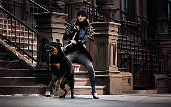 Dangerous, model, guard dog HD wallpaper