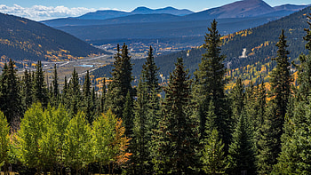 Forest landscape, Majestic mountains, Towering spruce trees HD wallpaper