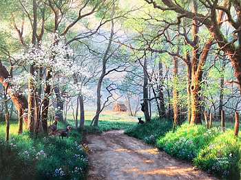spring forrest, trees, natur, forrest, spring HD wallpaper