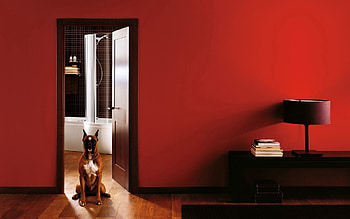 Animals, Interior, Dog, Room, Door, Hallway, Antechamber HD wallpaper