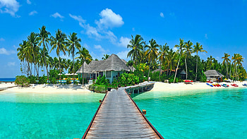 Tropical beach, Serene paradise, Exotic getaway, Natural beauty HD wallpaper