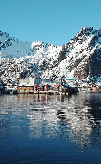 Captivating fjords, Mountain town, Samsung , High-definition HD phone wallpaper