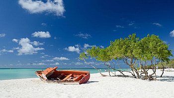 Beach of Aruba, sea, island, boat, sand, trees, clouds, sky HD wallpaper